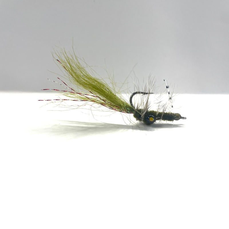 Fleeing Shrimp Olive