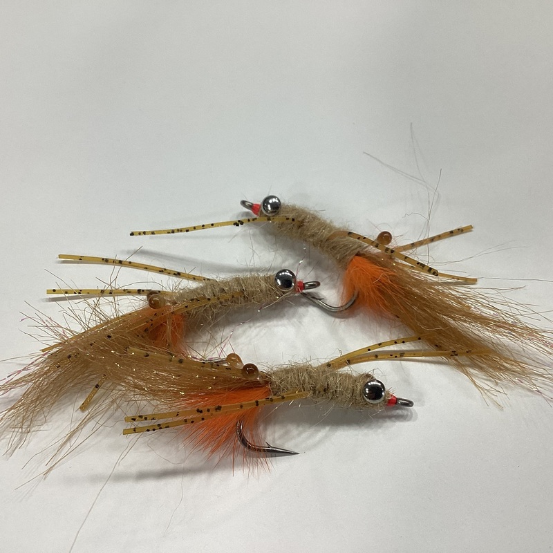 Spawning mantis shrimp – tan/orange – size 02