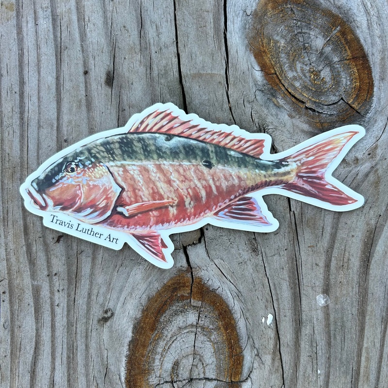 Travis Luther Art Mutton Snapper Sticker