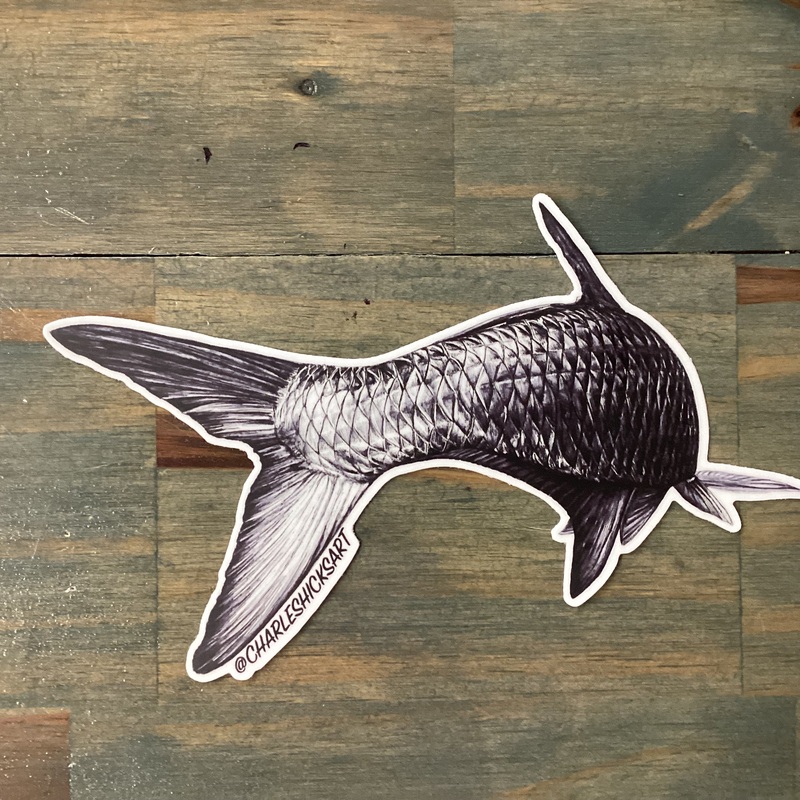 Charles Hicks Art – Tarpon Tail