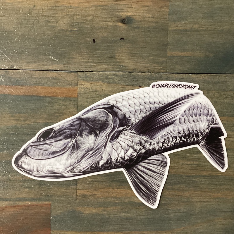 Charles Hicks Art – Tarpon Under View