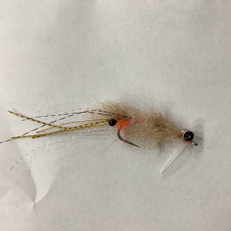 EP Spawning Shrimp – lead eye