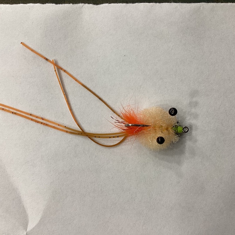 Shatto’s Opti Crab