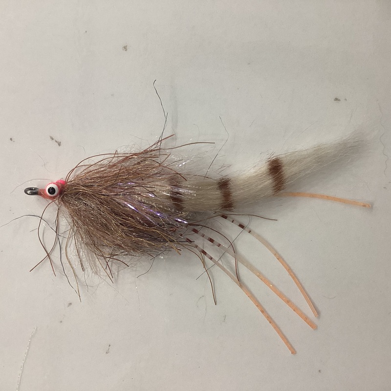 Sight Cast Redfish Cracklin – shrimp pink