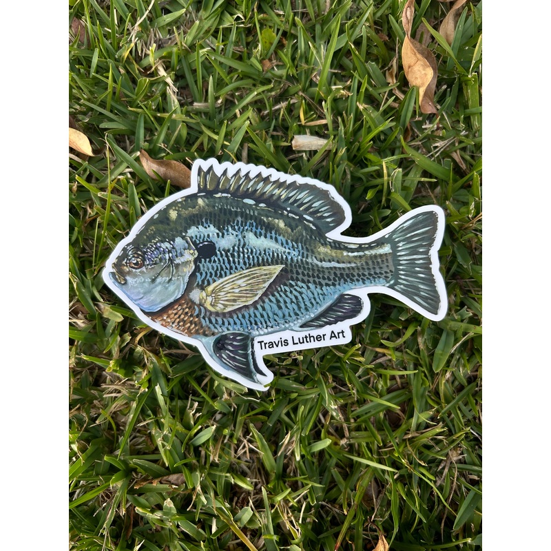 Travis Luther Art Bluegill sticker