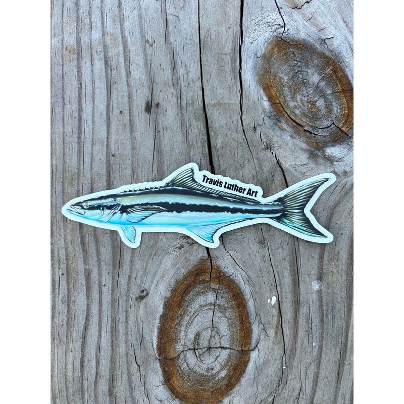 Travis Luther Art Cobia Sticker