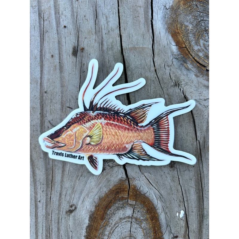 Travis Luther Art Hogfish Sticker
