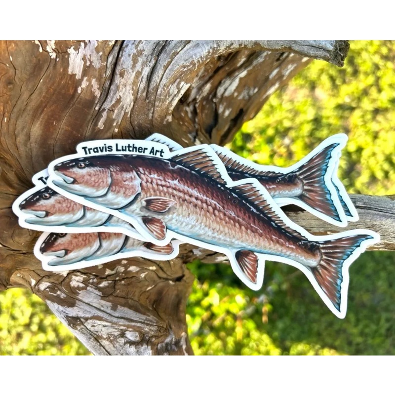 Travis Luther Art redfish sticker