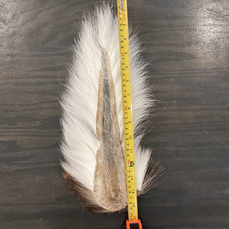 Whitetail Bucktail – Jumbo natural white