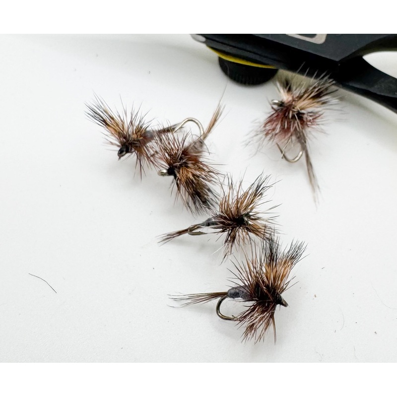 Adams Wulff||12||16||18