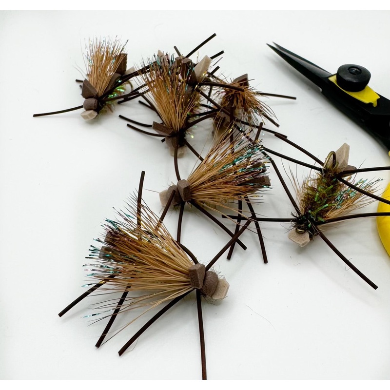 Amy’s Ant Olive||8||10
