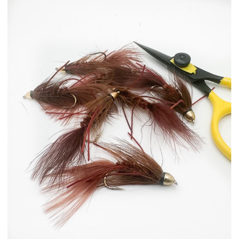 Autumn Splendor Cone Head||6