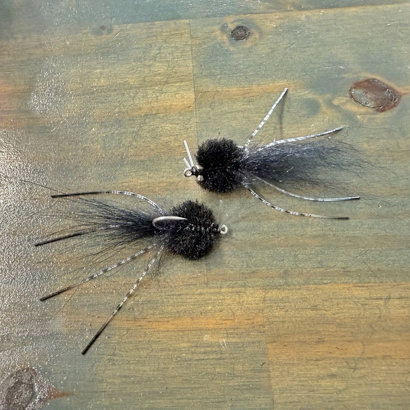 Dime bag Davey’s Black Kwan