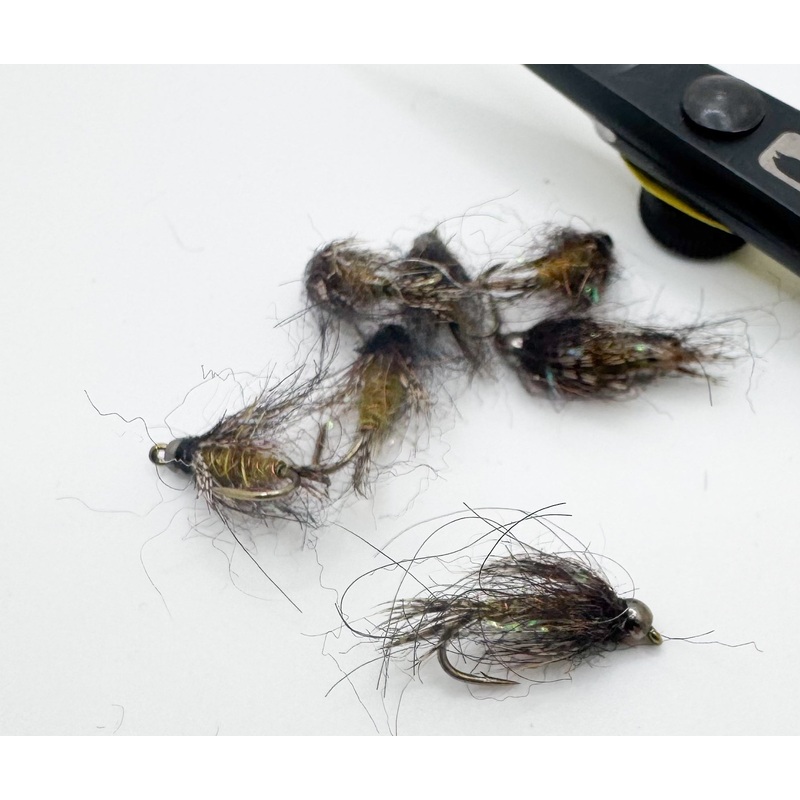 Dirty Bird Morrish Olive||14||16