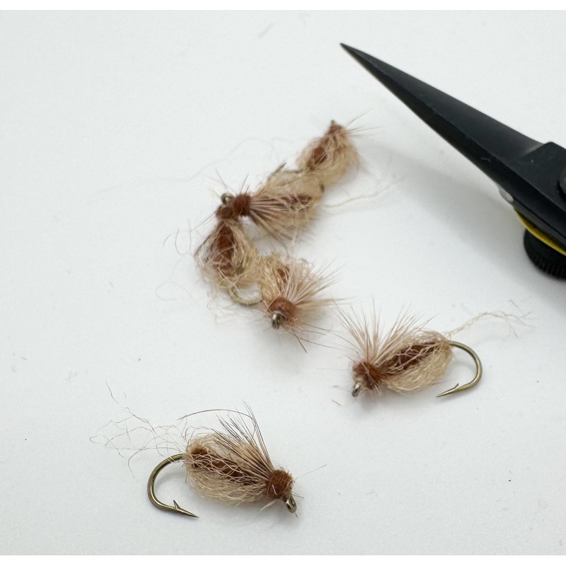 Emergent Sparkle Pupa Brown||12