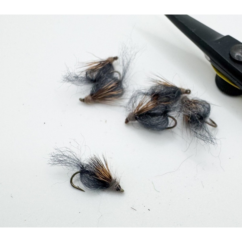 Emergent Sparkle Pupa Dark Gray