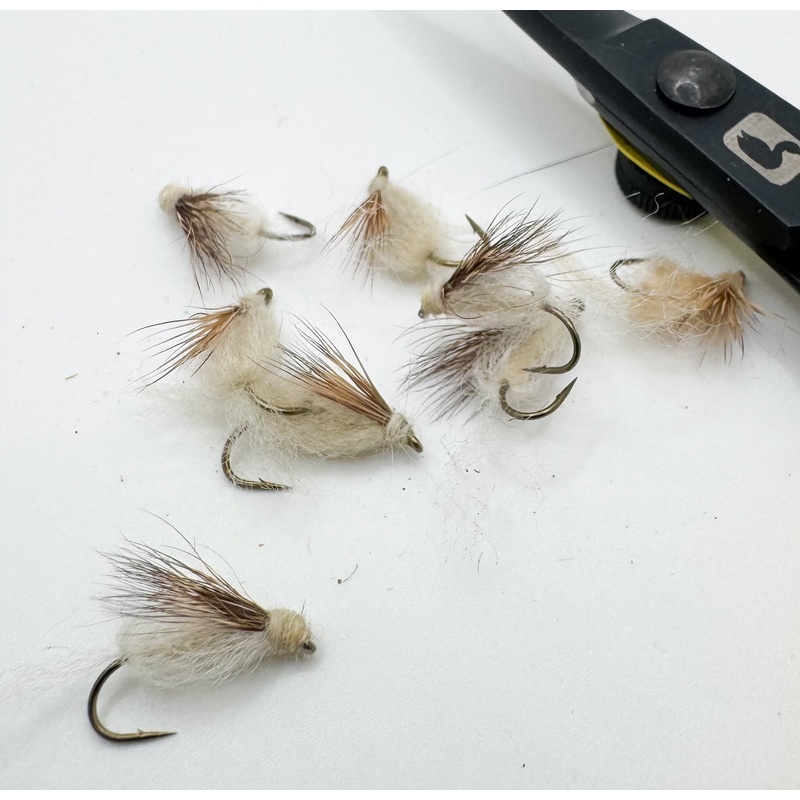 Emergent Sparkle Pupa Ginger||14||16