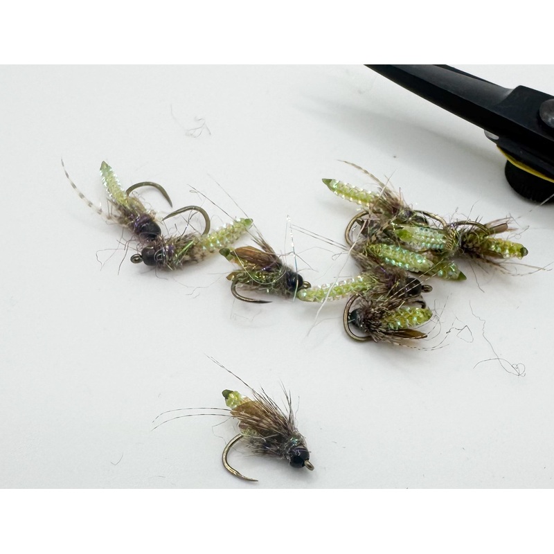 Nitro Caddis Pupa Olive||16