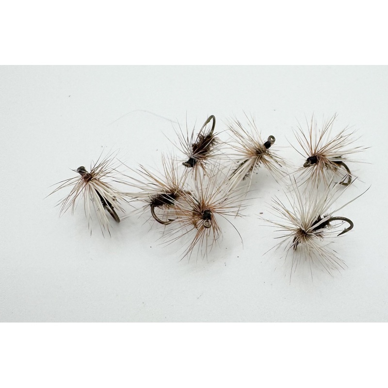 Peacock Caddis||14||16