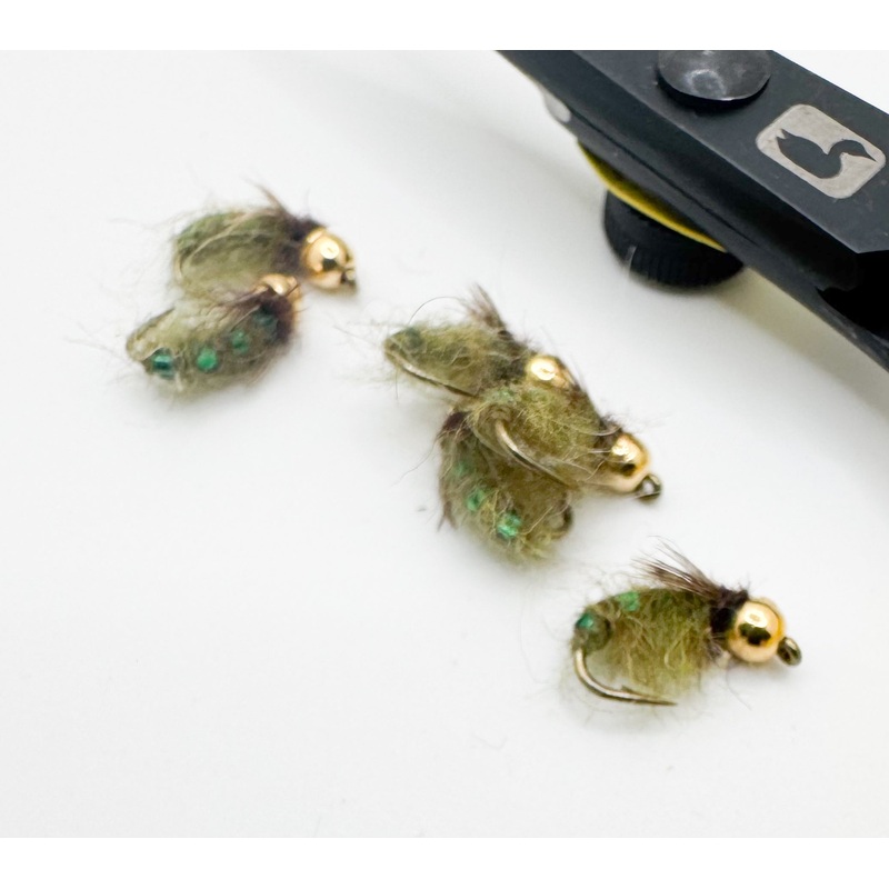 Pulsating Caddis GB Olive||14||16