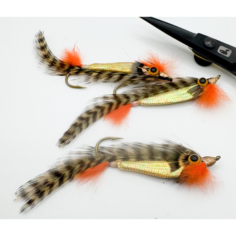 Swimming Sunfish Whitlocks Size 2