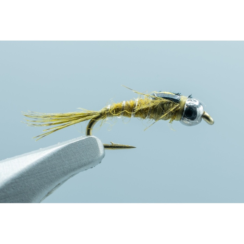 Tung Split Case BWO #18