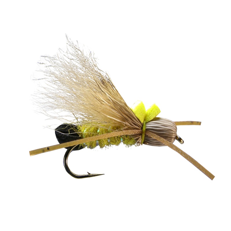 Bullethead Golden (6-pack)||8||10||12|Tan Wing