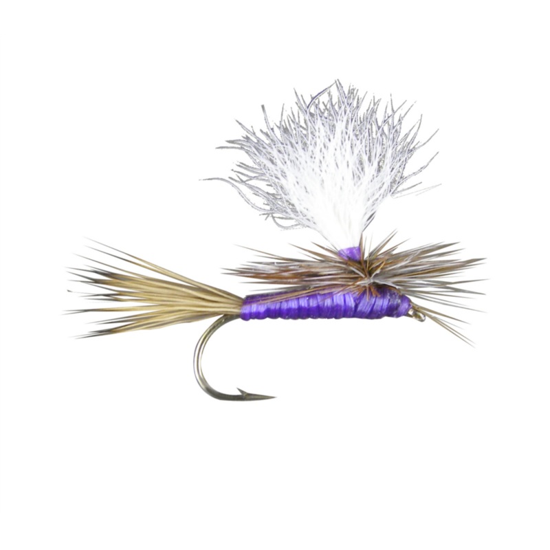 Carlson’s Purple Haze (6-pack)