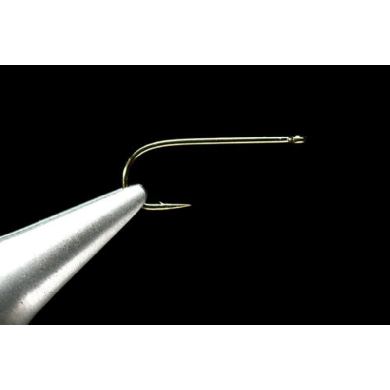 Daiichi 1110’s||12||14||16||18||20