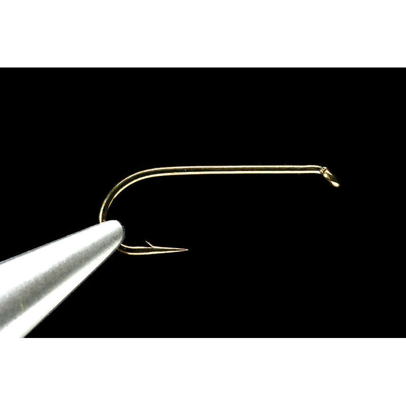 Daiichi 1710’s||2||4||6||8||10||12||14||16||18