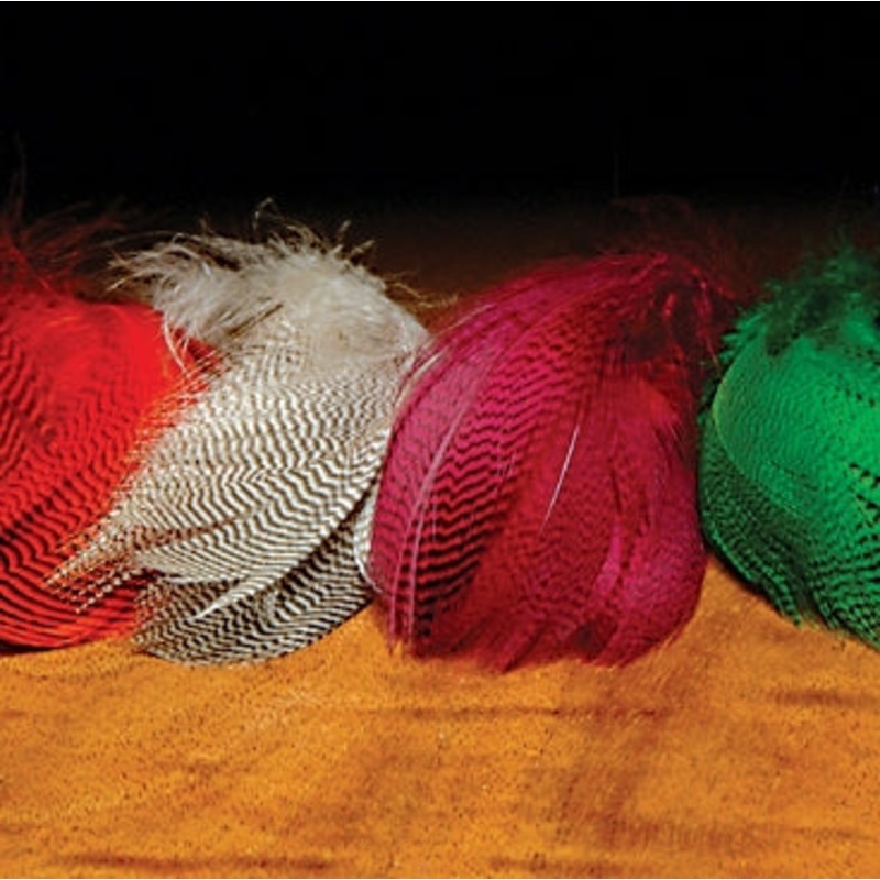 Gadwall Flank|Fl. Purple|Hot Orange|Olive|Yellow