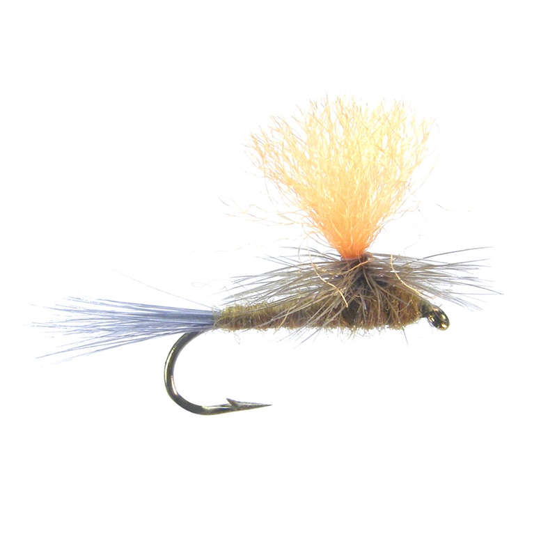 Hi-Vis Parachute (6-pack)||18||20|BWO
