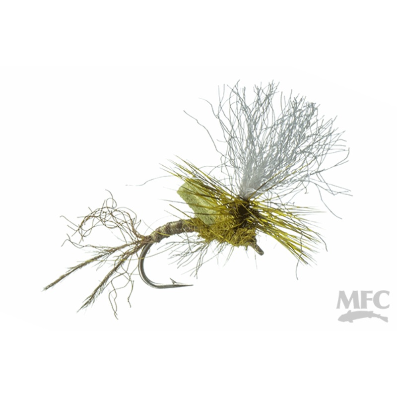 Booty’s DL Cripple (6-pack)||18|BWO