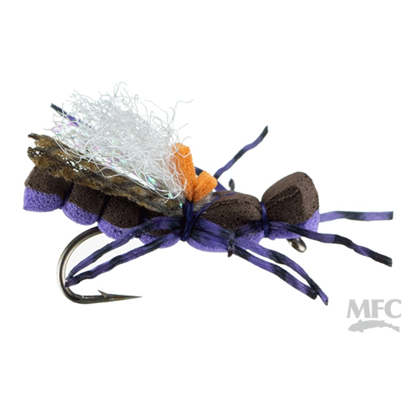 Evan’s Baby Foam (6-pack)||12||14|Purple