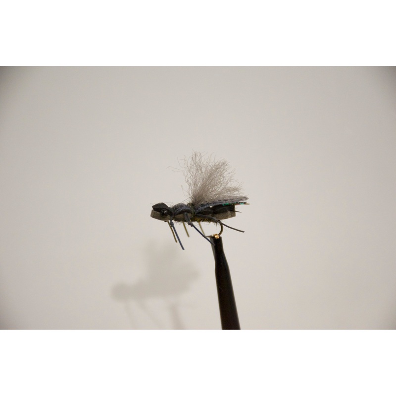 GH’s Supa-Dupa Stone (6-Pack)|Skwala||12||14