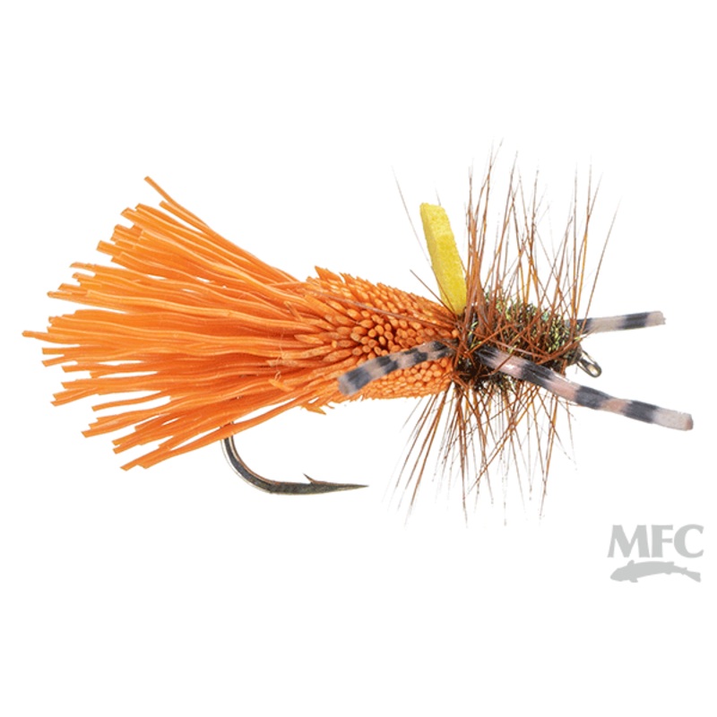 Godlike Caddis- October (6-pack)