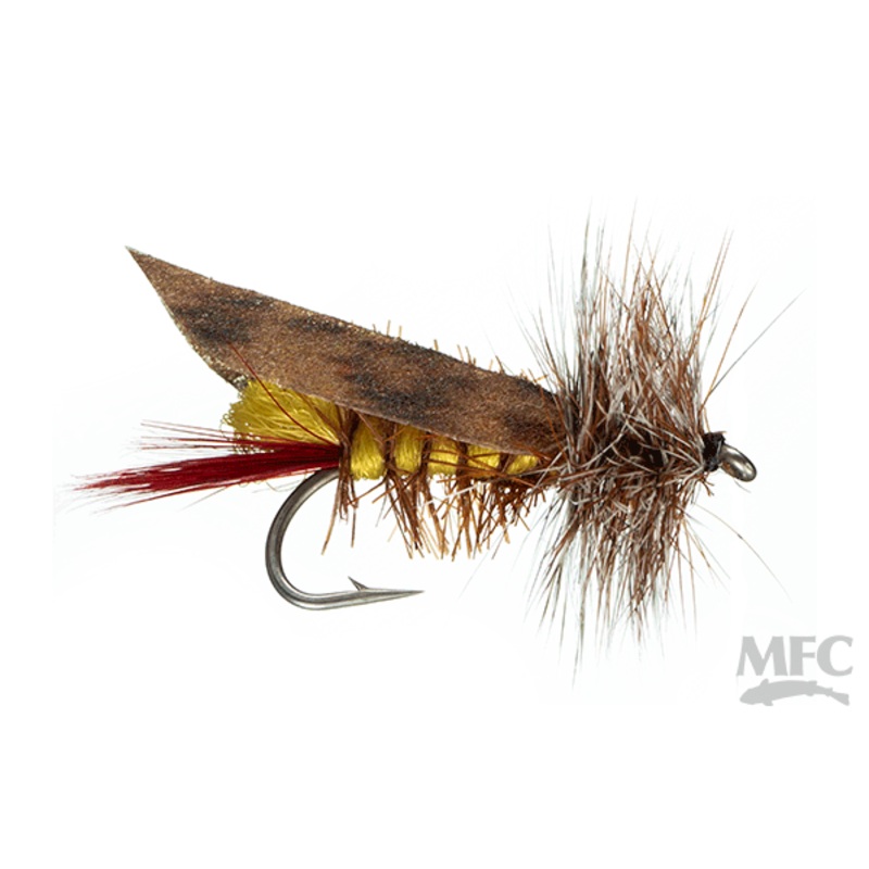 Joe’s Hopper (6-pack)|One Color||10||12