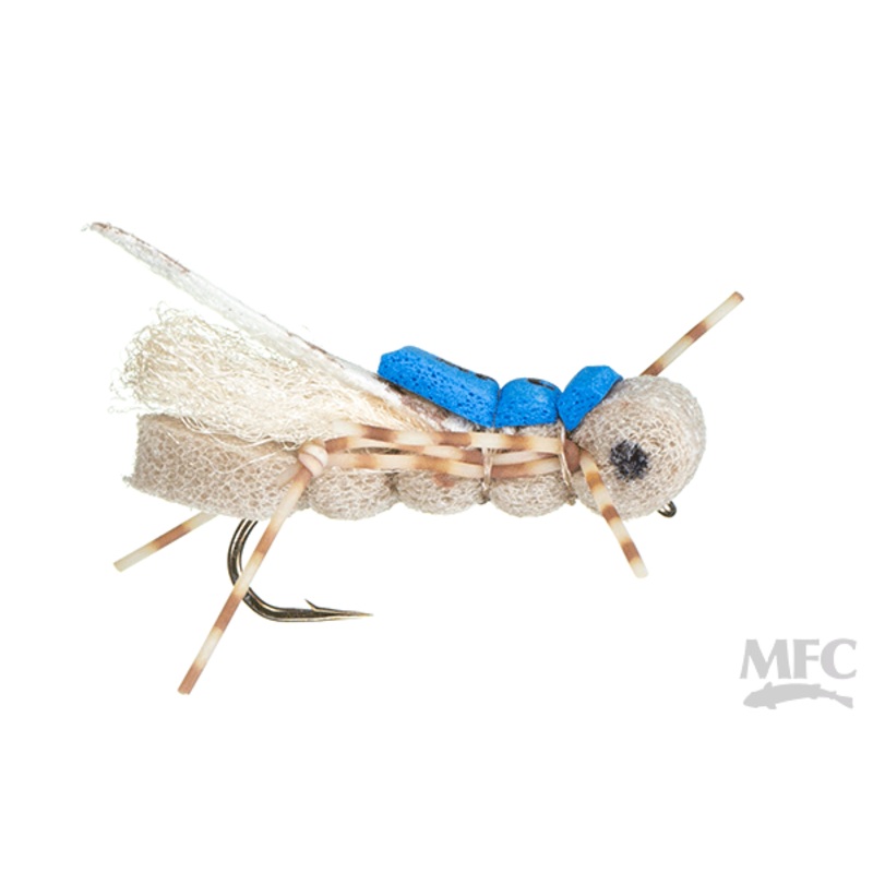 MFC’s Foam Hopper (6-pack)|Tan||10 (1/2 dozen)||12 (1/2 dozen)