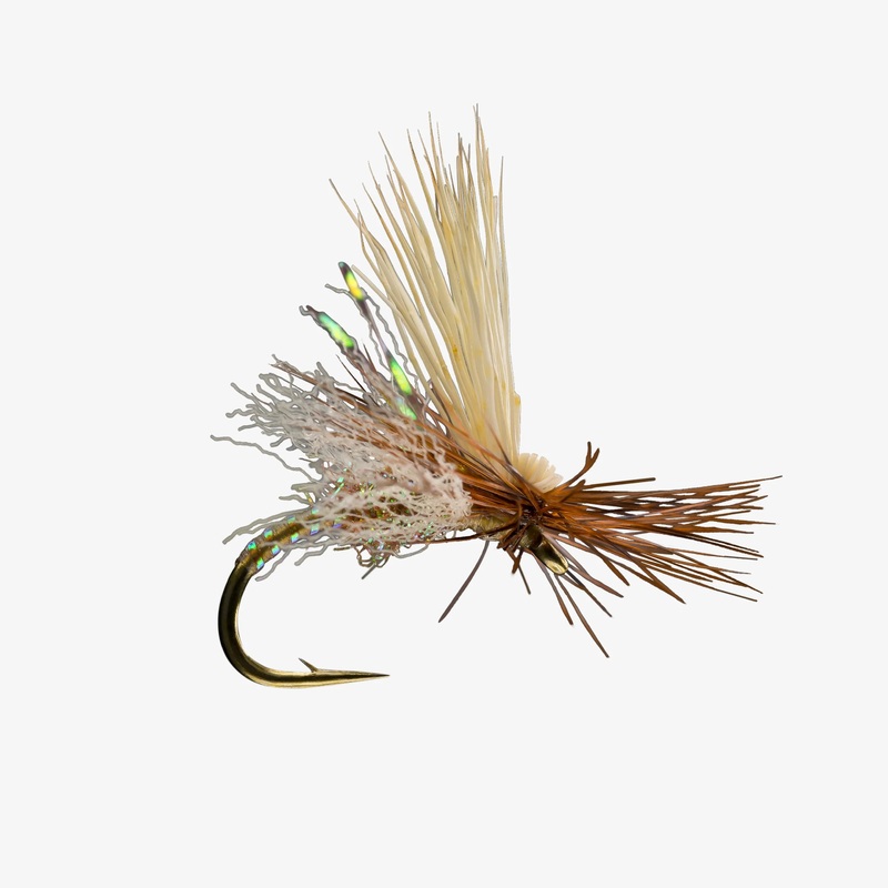 RIO’s Body Double Caddis (6-pack)