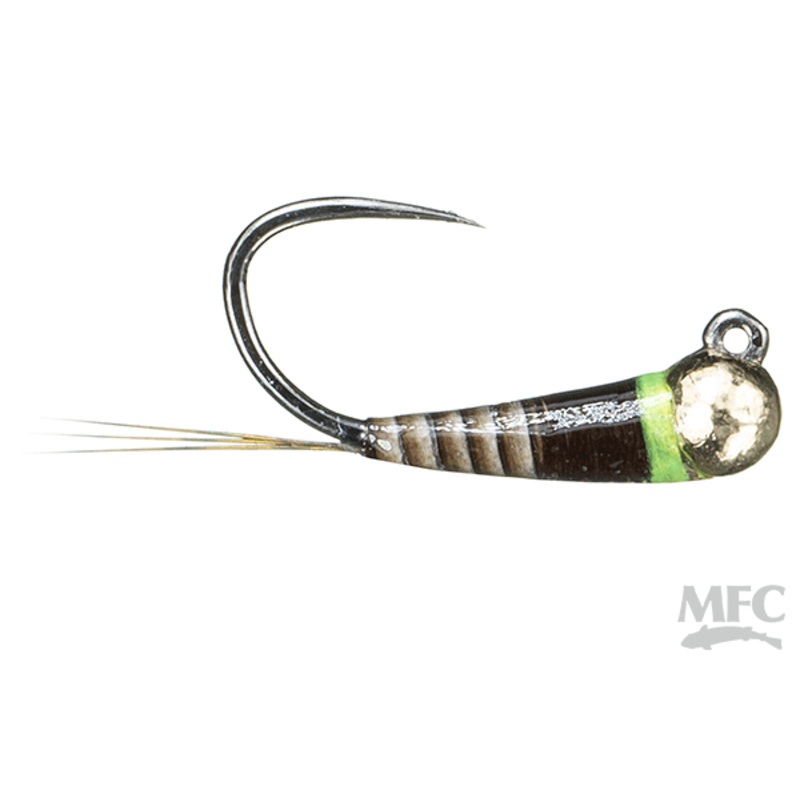 Spanish Bullet- PMD Quill (6-pack)