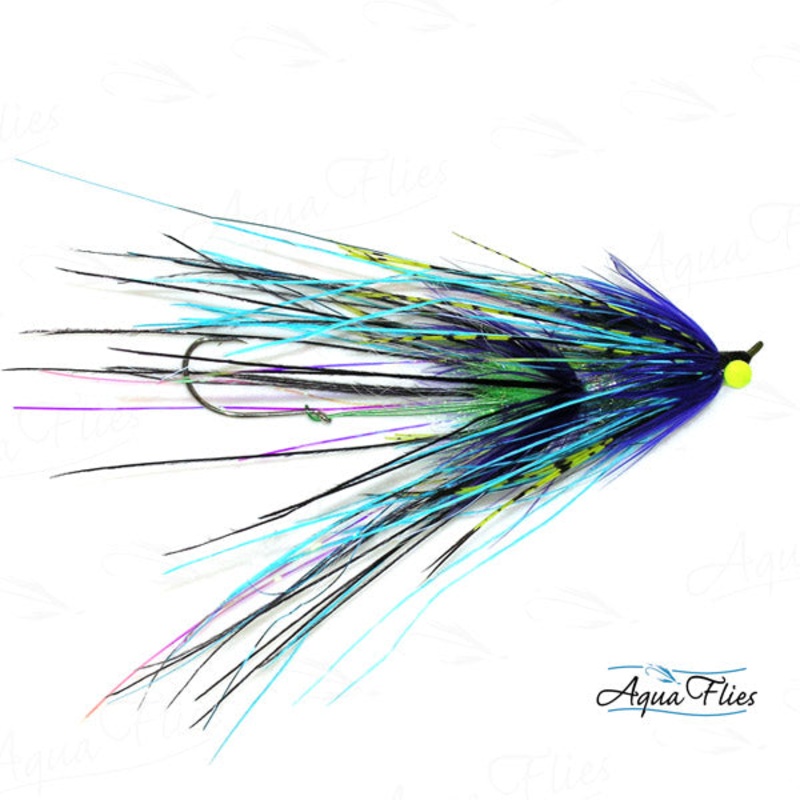 Foxall’s Intruder-Blue/Purple, Size 1