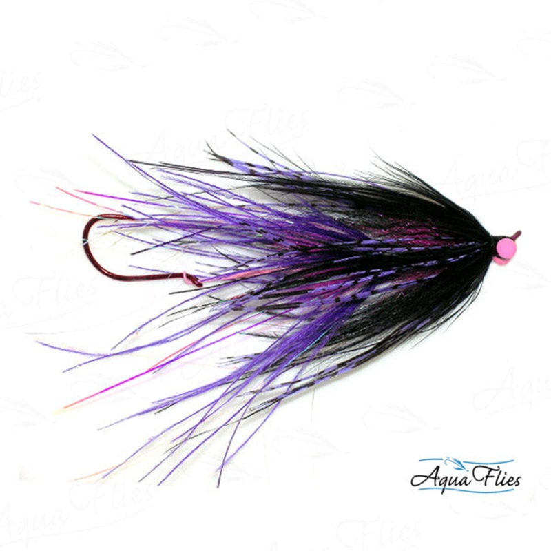 Foxall’s Intruder-Purple/Black, Size 1