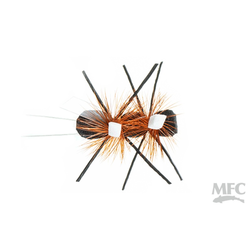 Green River Flying Ant (6-pack)