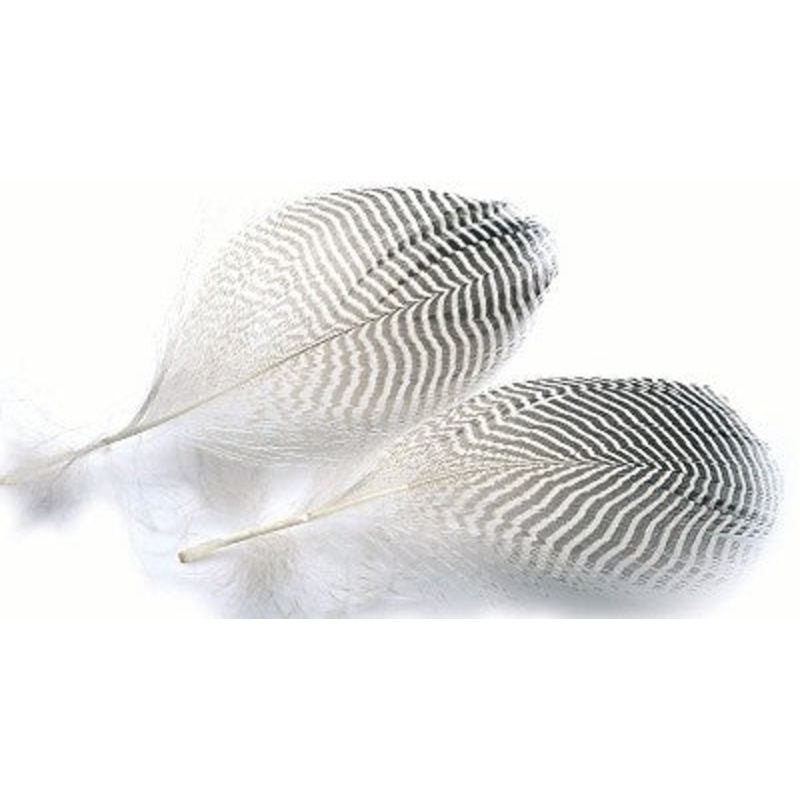 Teal Duck Flank Feathers