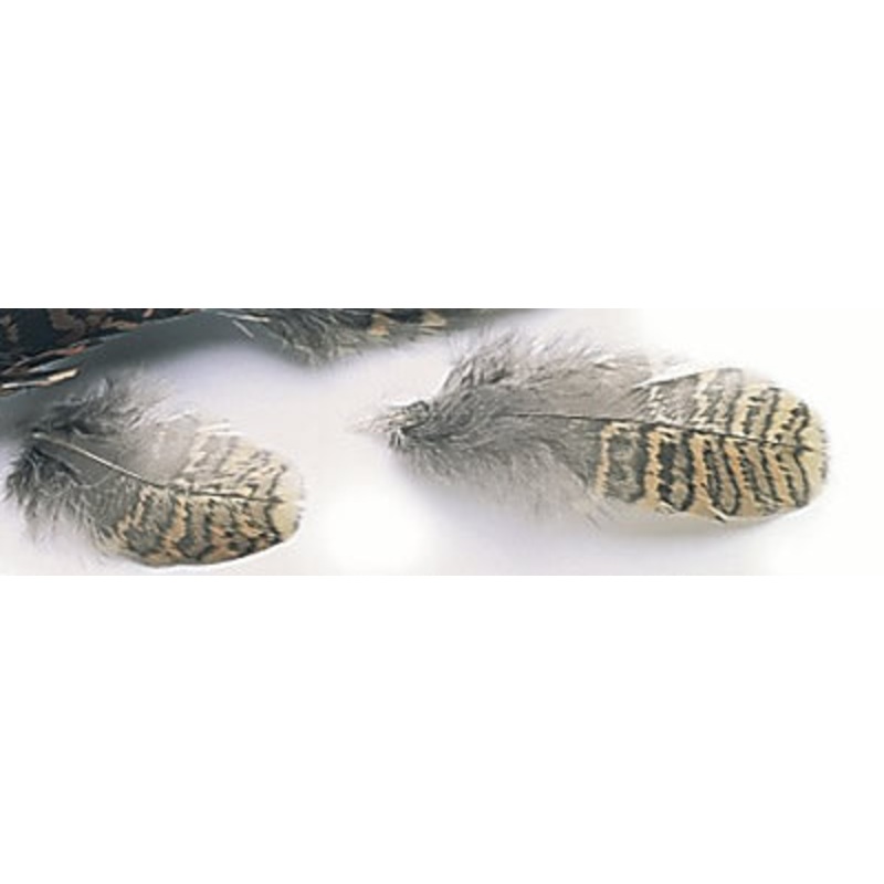 Woodcock Hackle/Plumage