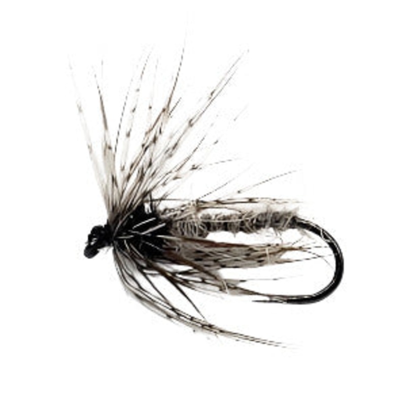 AP Emerger|12|14