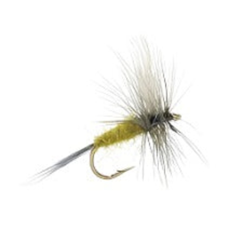 BLUE WING OLIVE|10|12|14|16