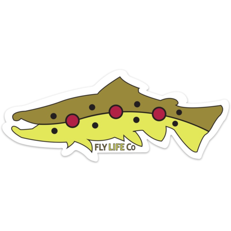 Brown Trout Bumper Sticker