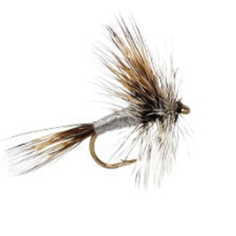 GRIZZLY WULFF|10|12|14|16