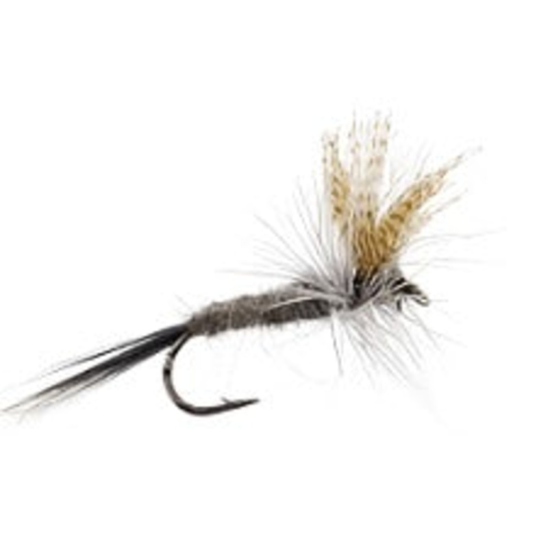 HENDRICKSON DARK|10|12|14|16